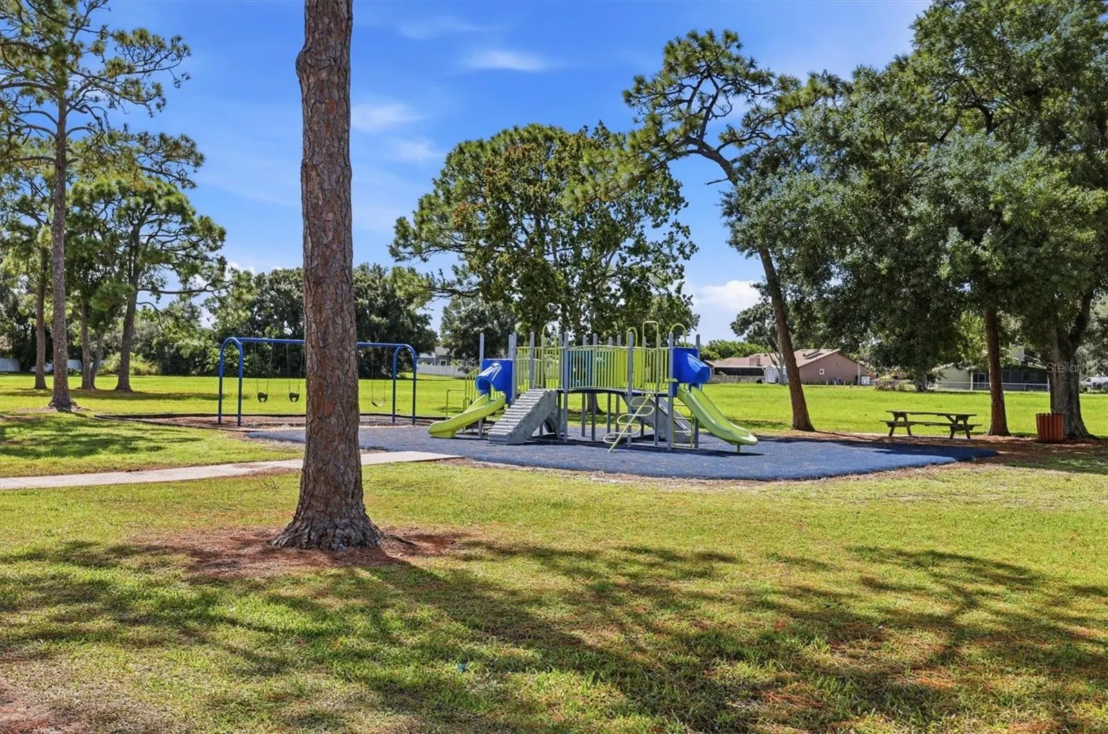 828 PONDEROSA PINE LN