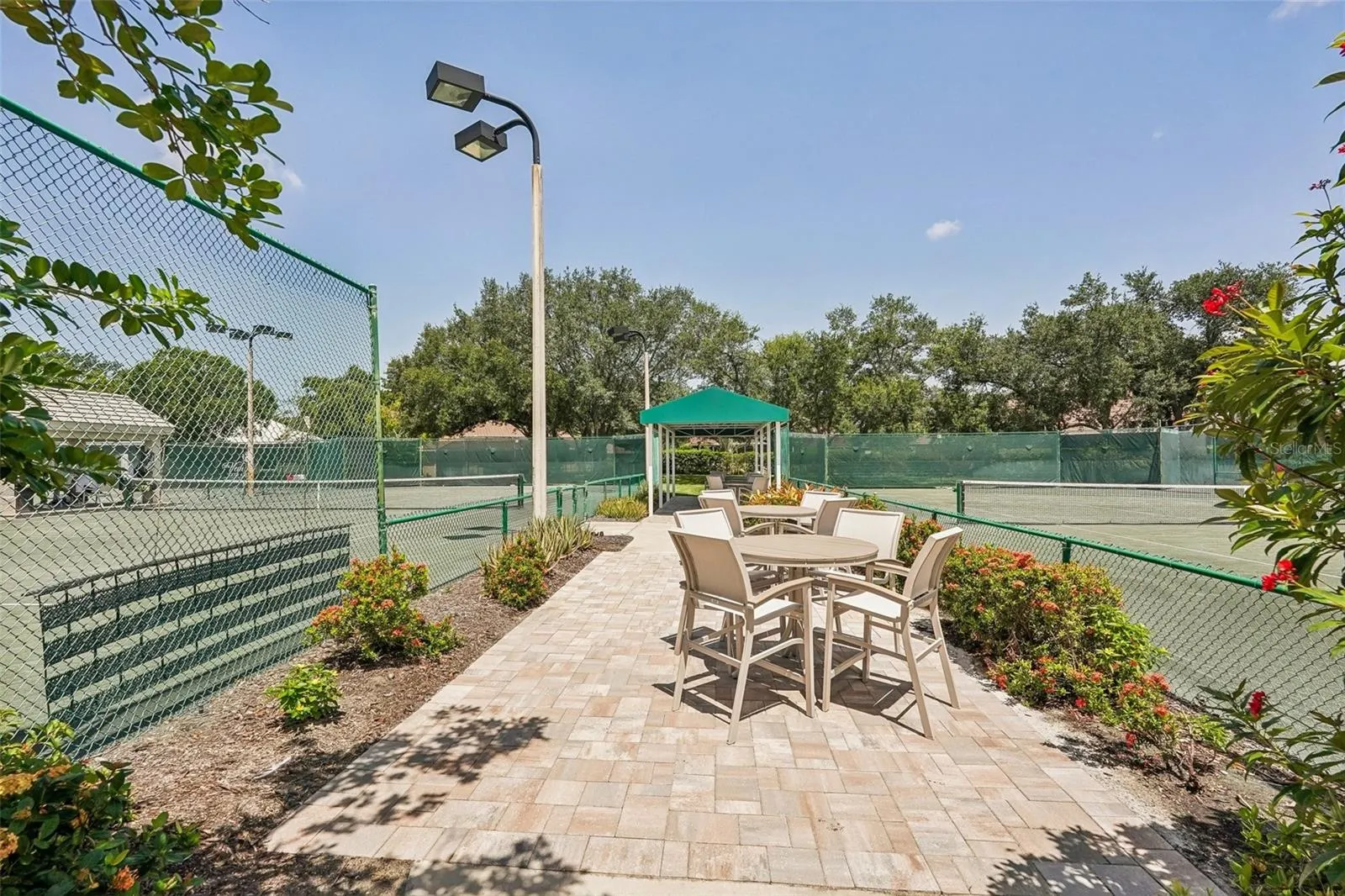 618 WILD PINE WAY