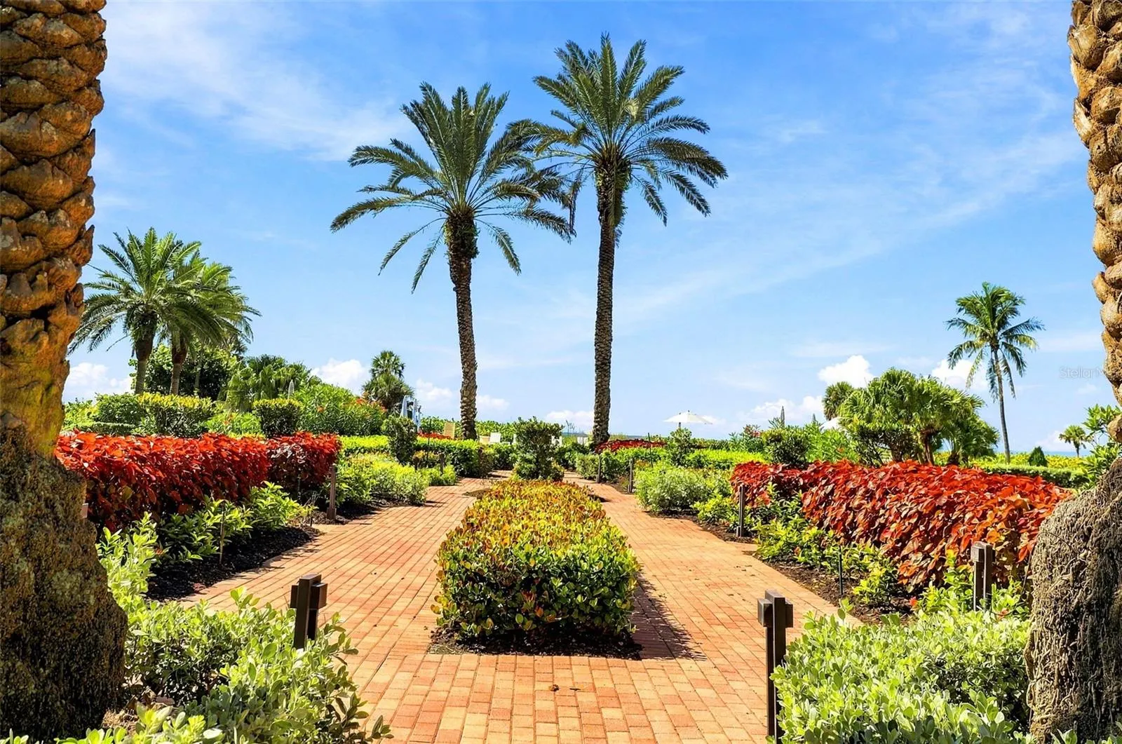 2185 GULF OF MEXICO DR #243 #243