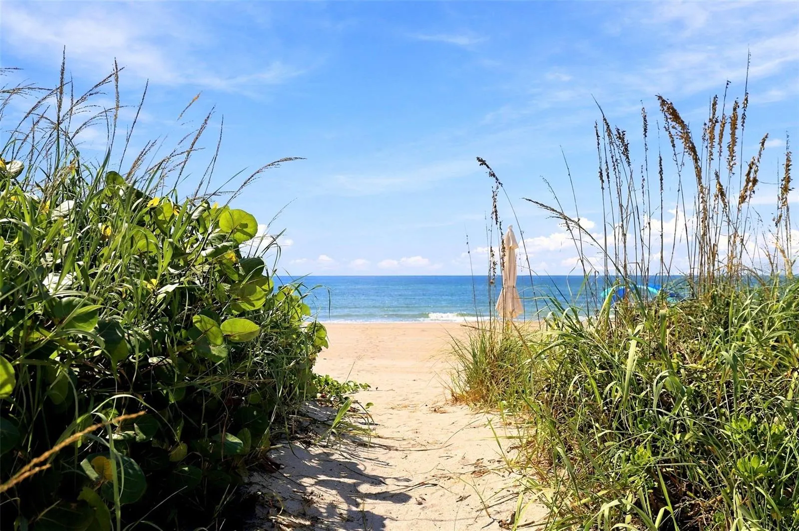 2185 GULF OF MEXICO DR #243 #243