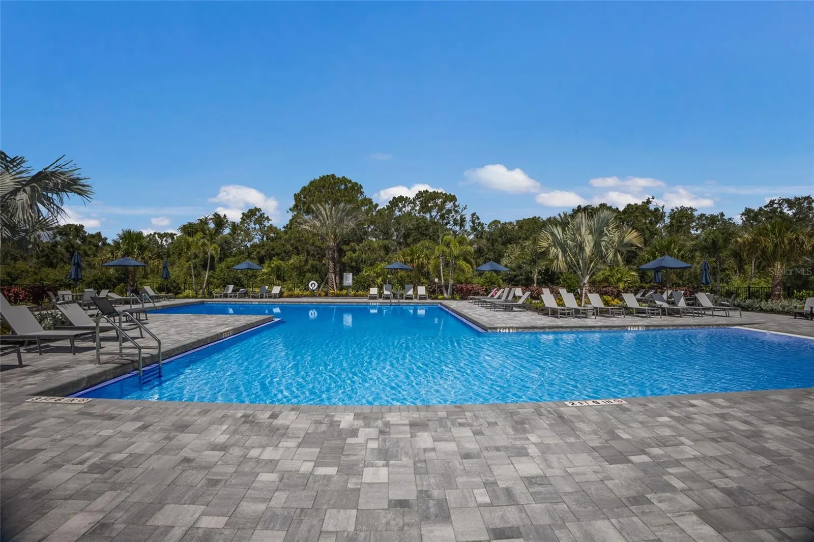 16523 ARBOR RIDGE TRL