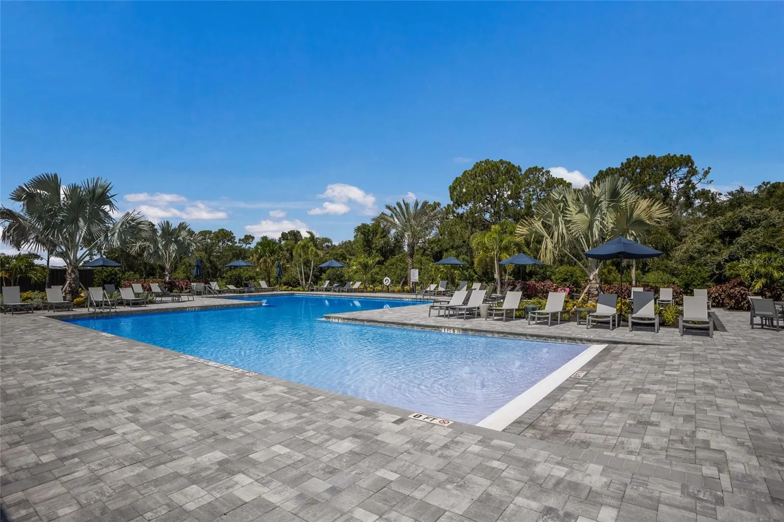 16523 ARBOR RIDGE TRL