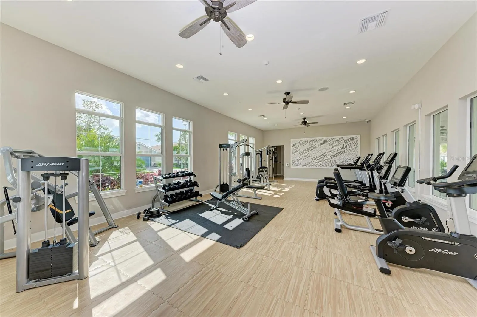497 FIREBUSH DR