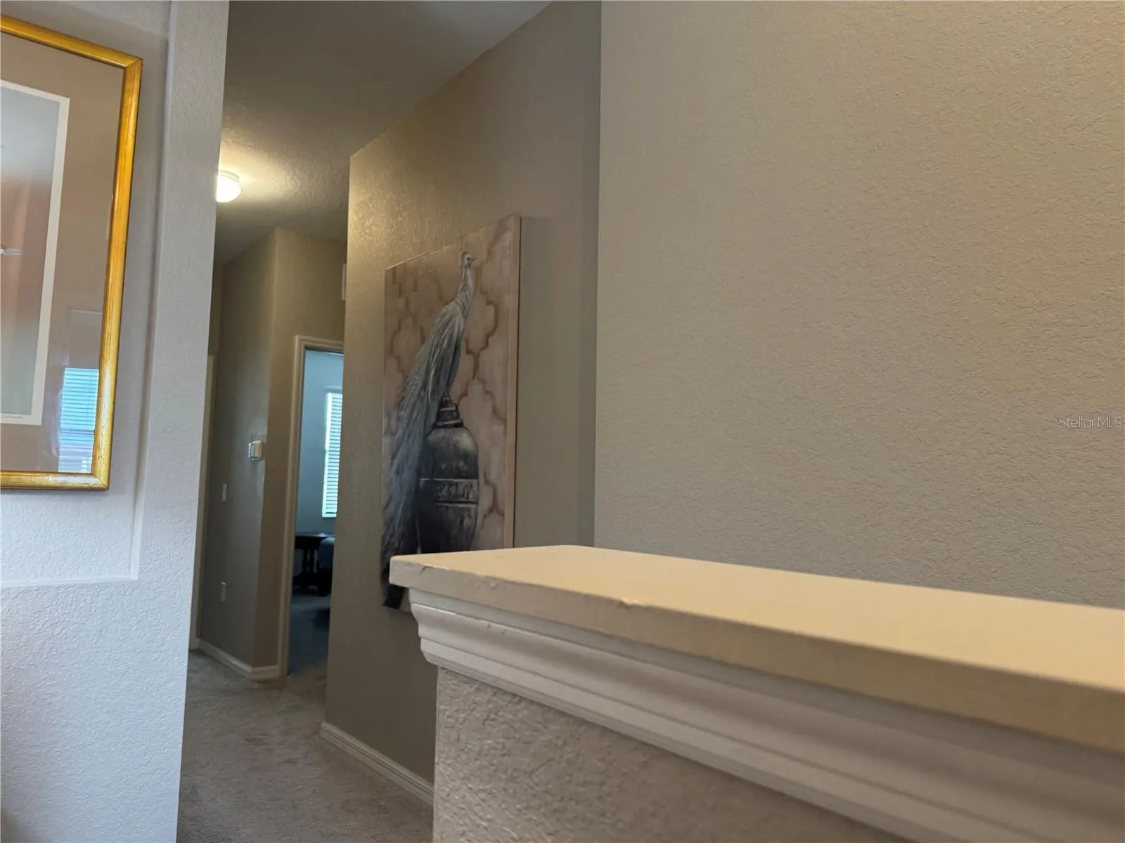 20448 LAGENTE CIR