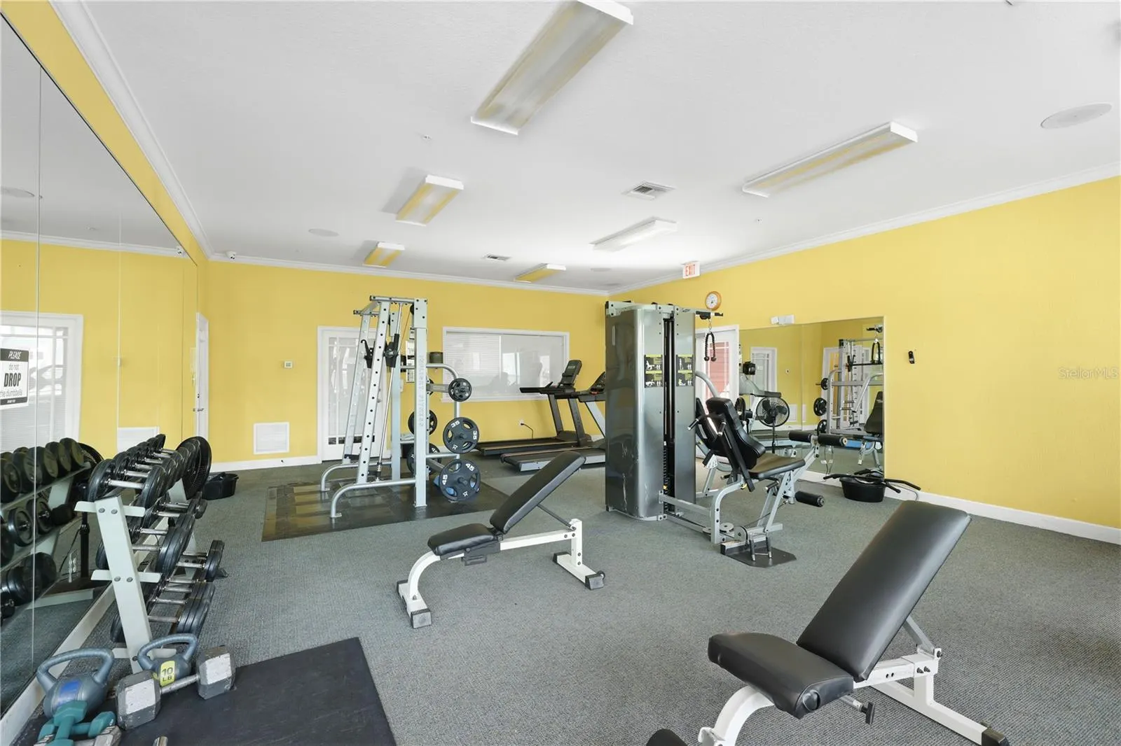 5531 ROSEHILL RD #203 #203