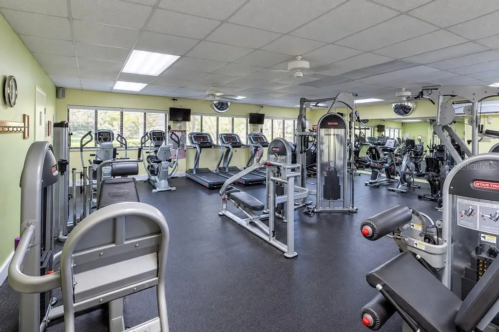 744 WHITE PINE TREE RD #207 #207