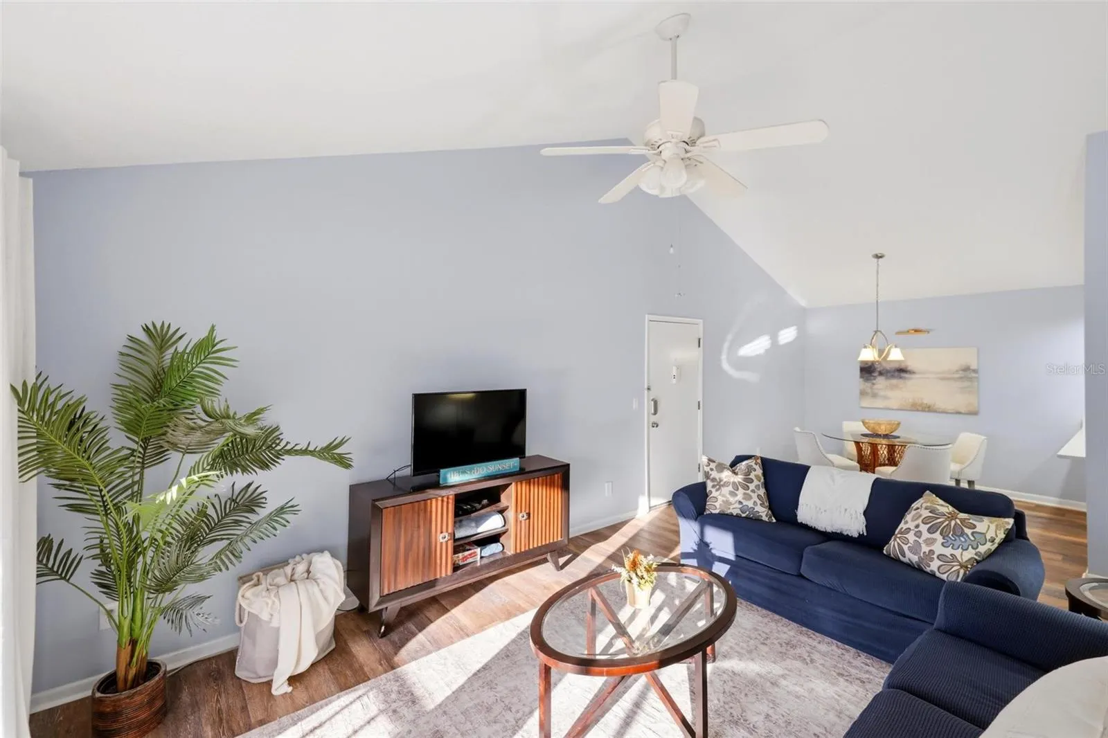 744 WHITE PINE TREE RD #207 #207