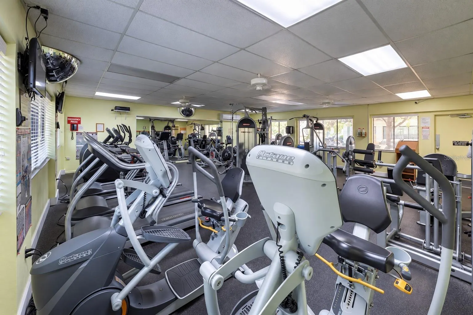 744 WHITE PINE TREE RD #207 #207