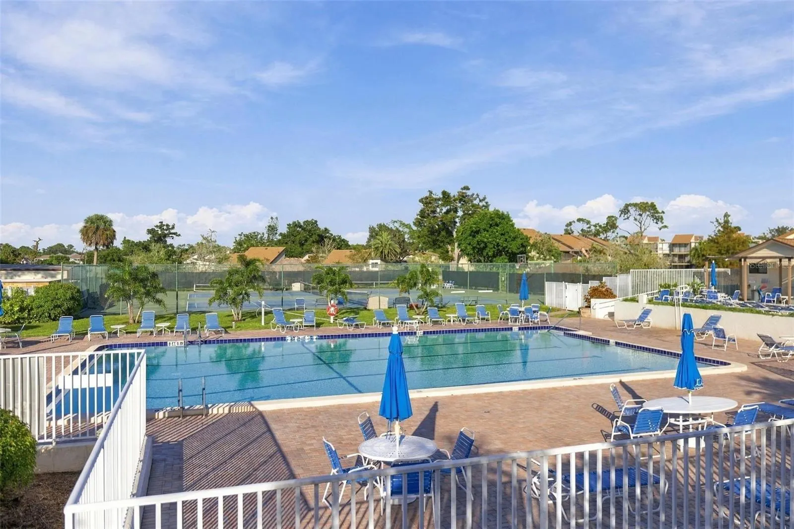 744 WHITE PINE TREE RD #207 #207