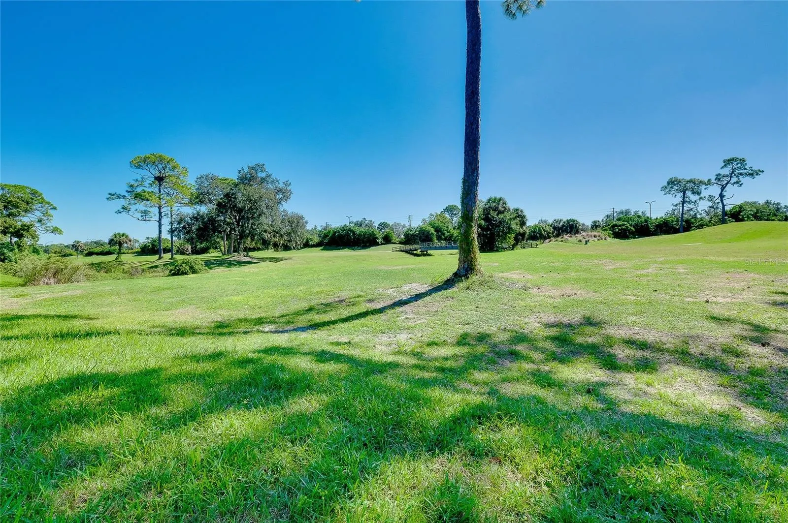 4356 CAMINO MADERA