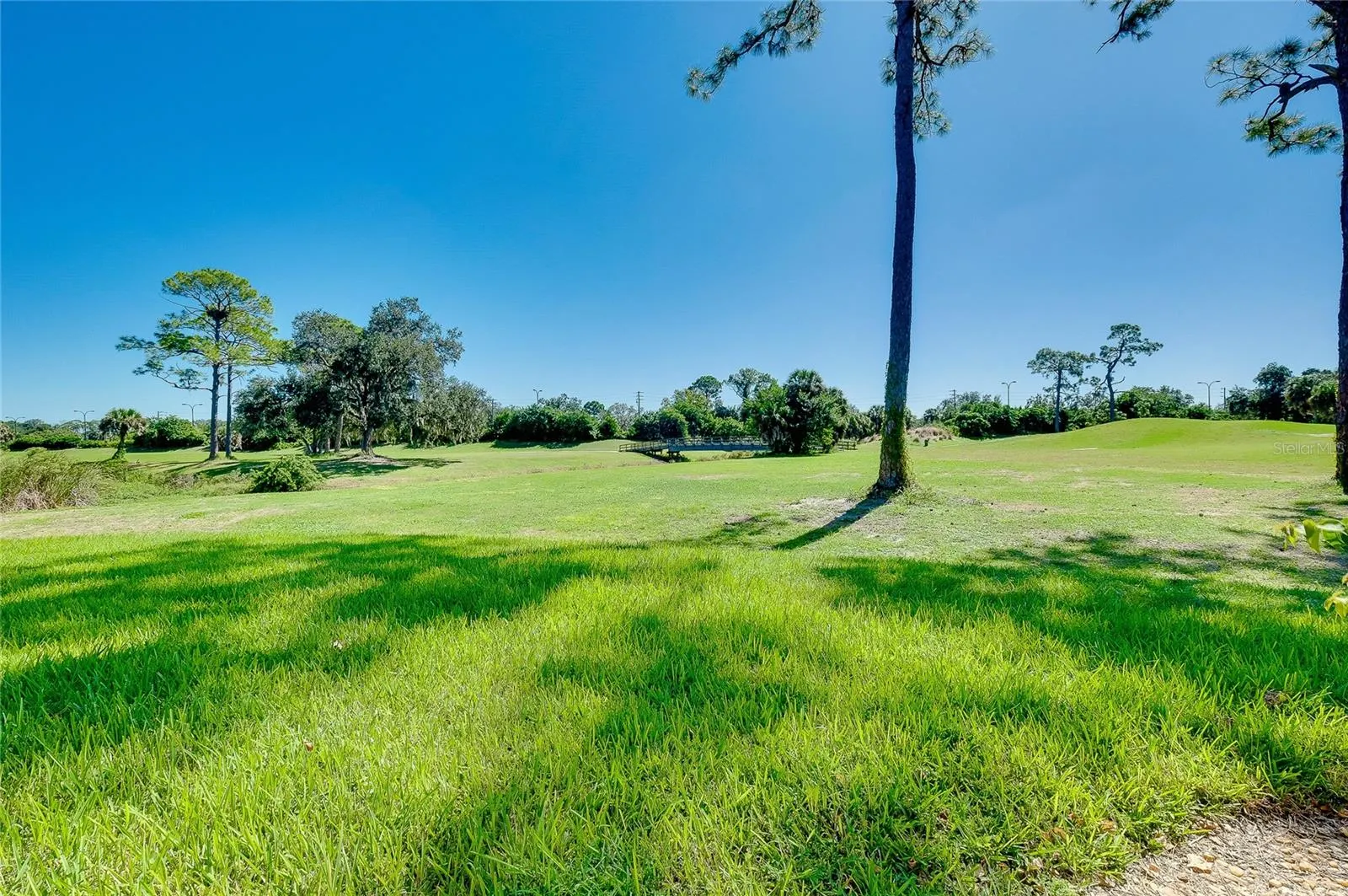 4356 CAMINO MADERA