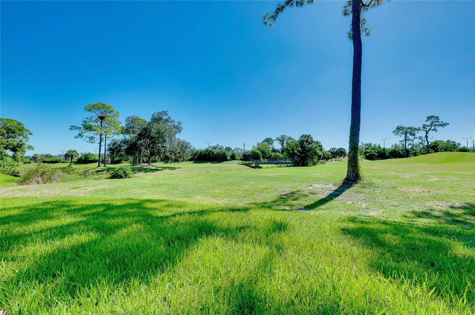 4356 CAMINO MADERA