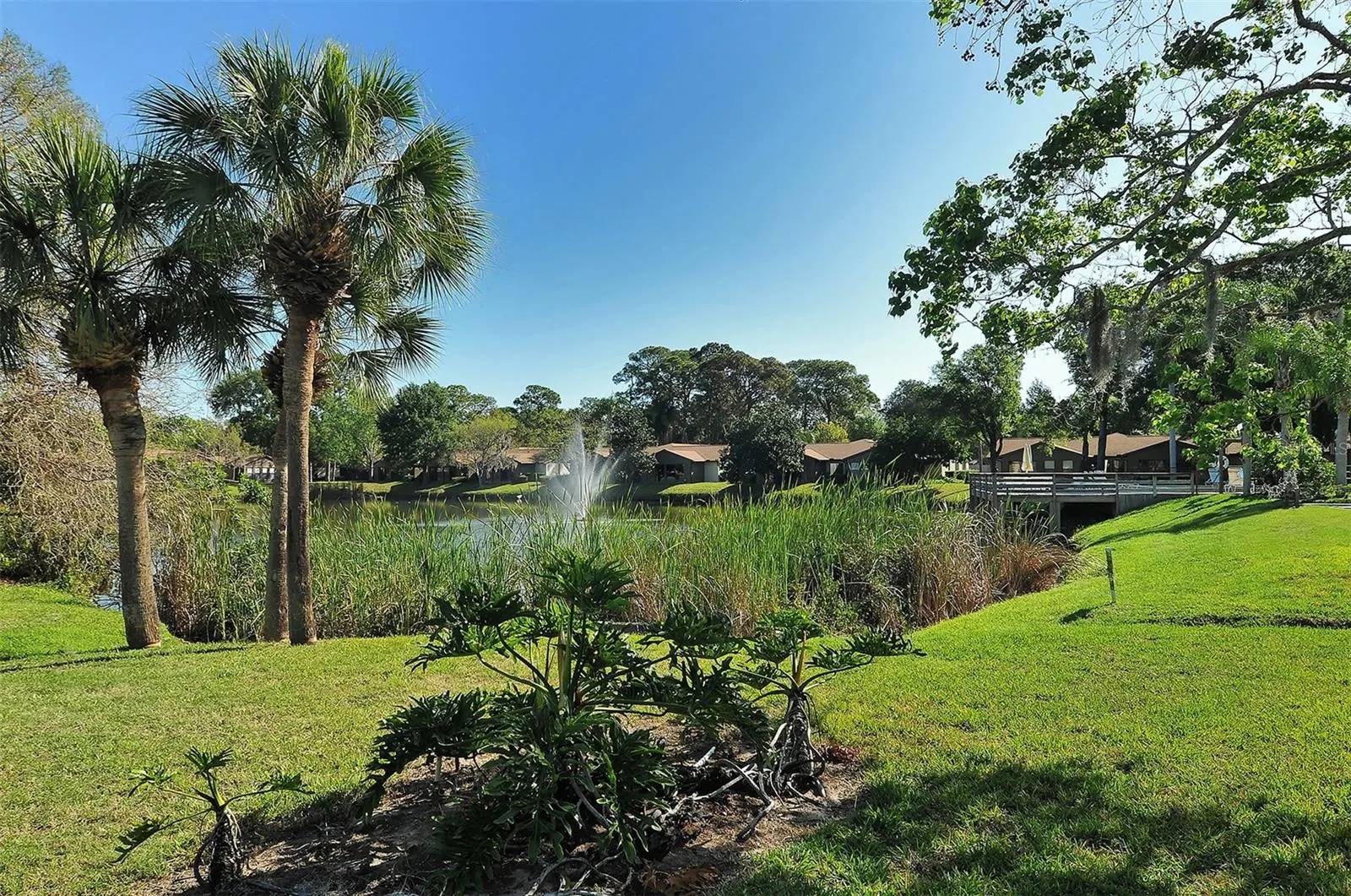 510 OAK HILL CIR #9 #9