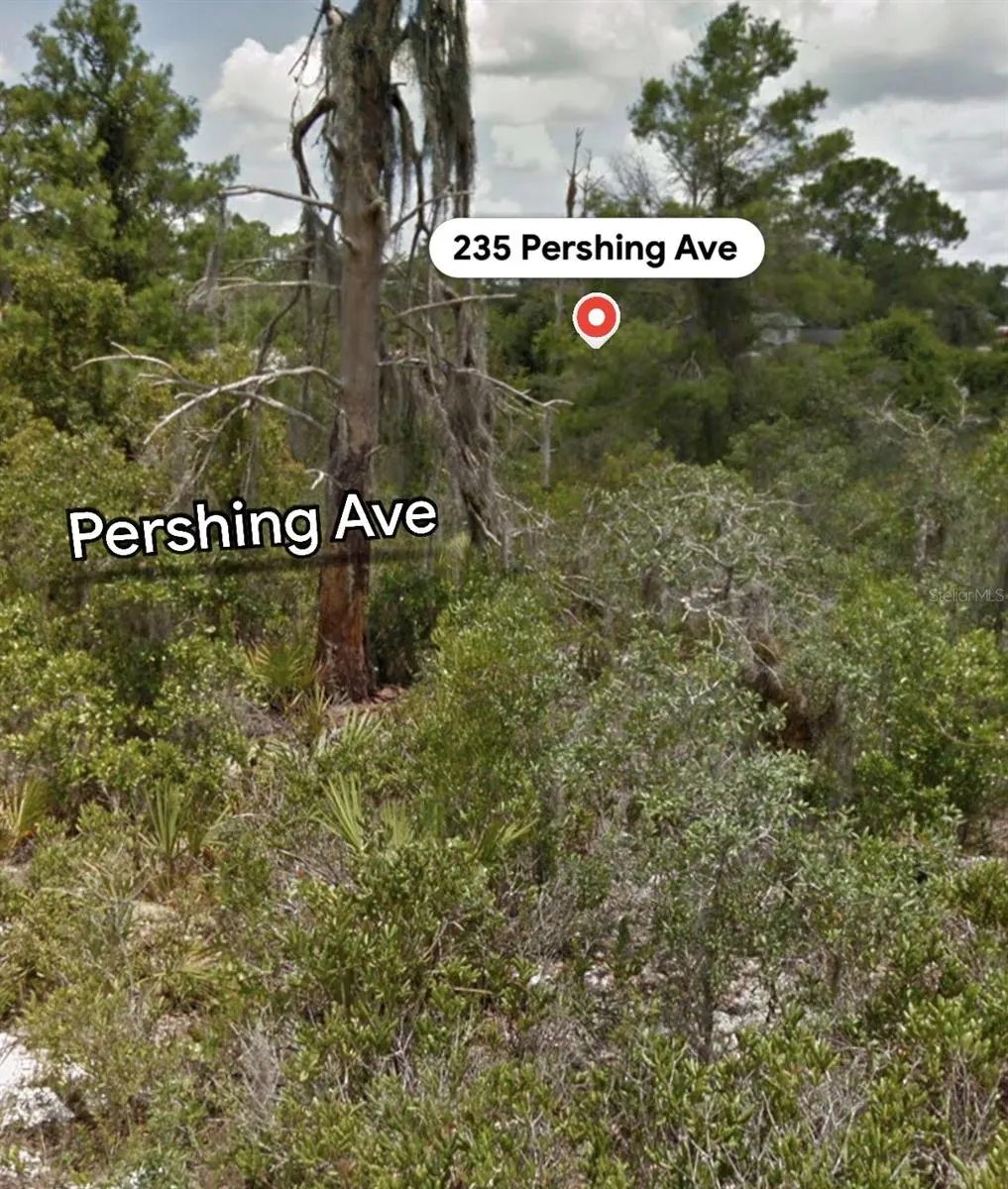 235 PERSHING AVE