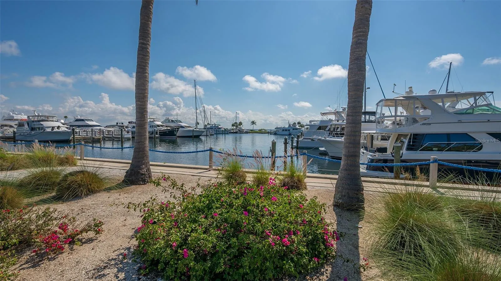 2245 HARBOURSIDE DR #101 #101