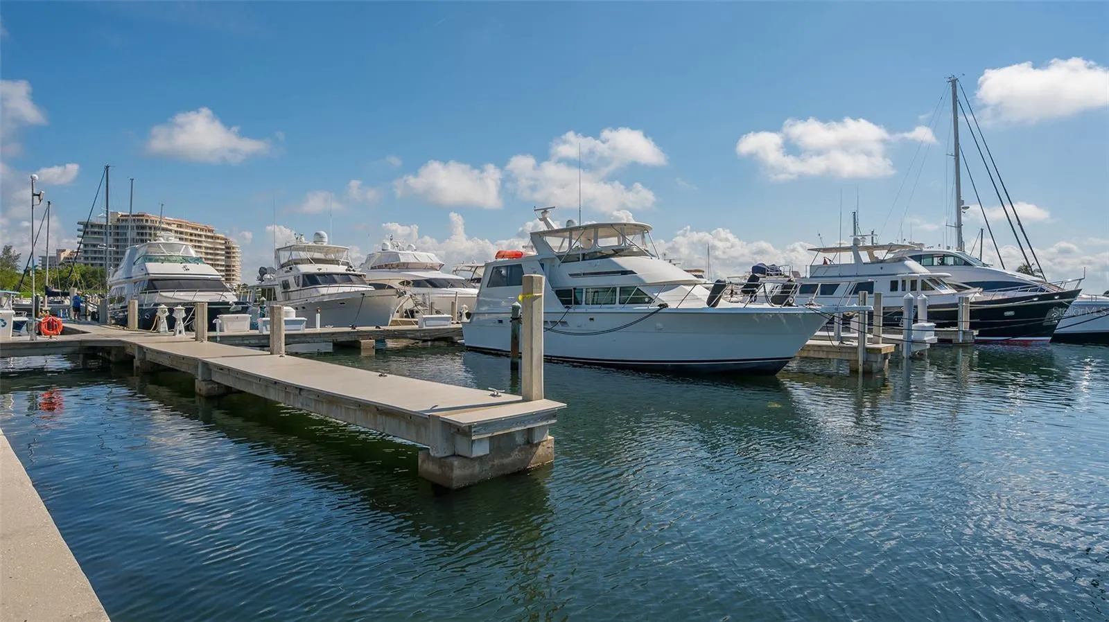 2245 HARBOURSIDE DR #101 #101