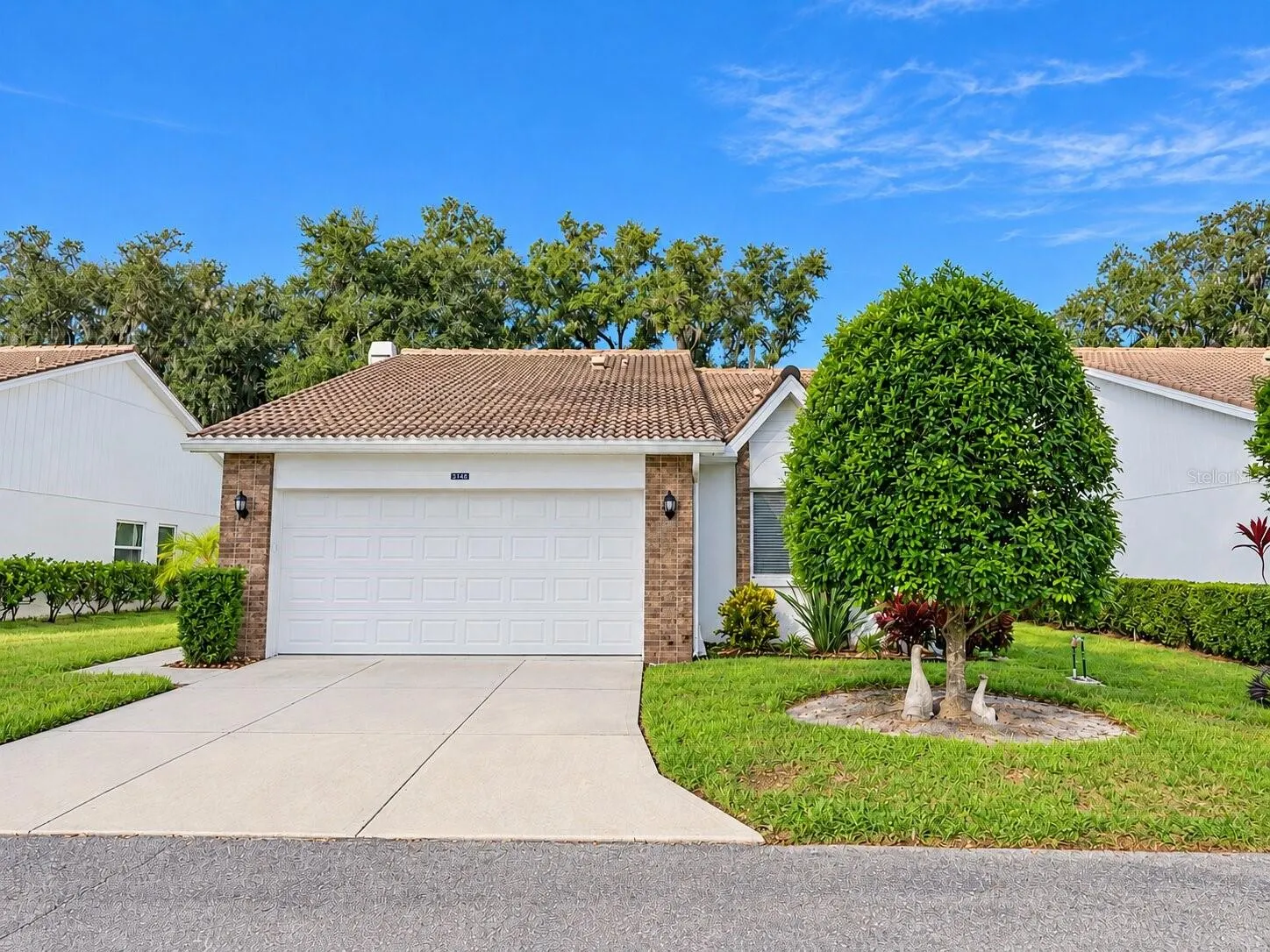 5808 GARDEN LAKES FERN