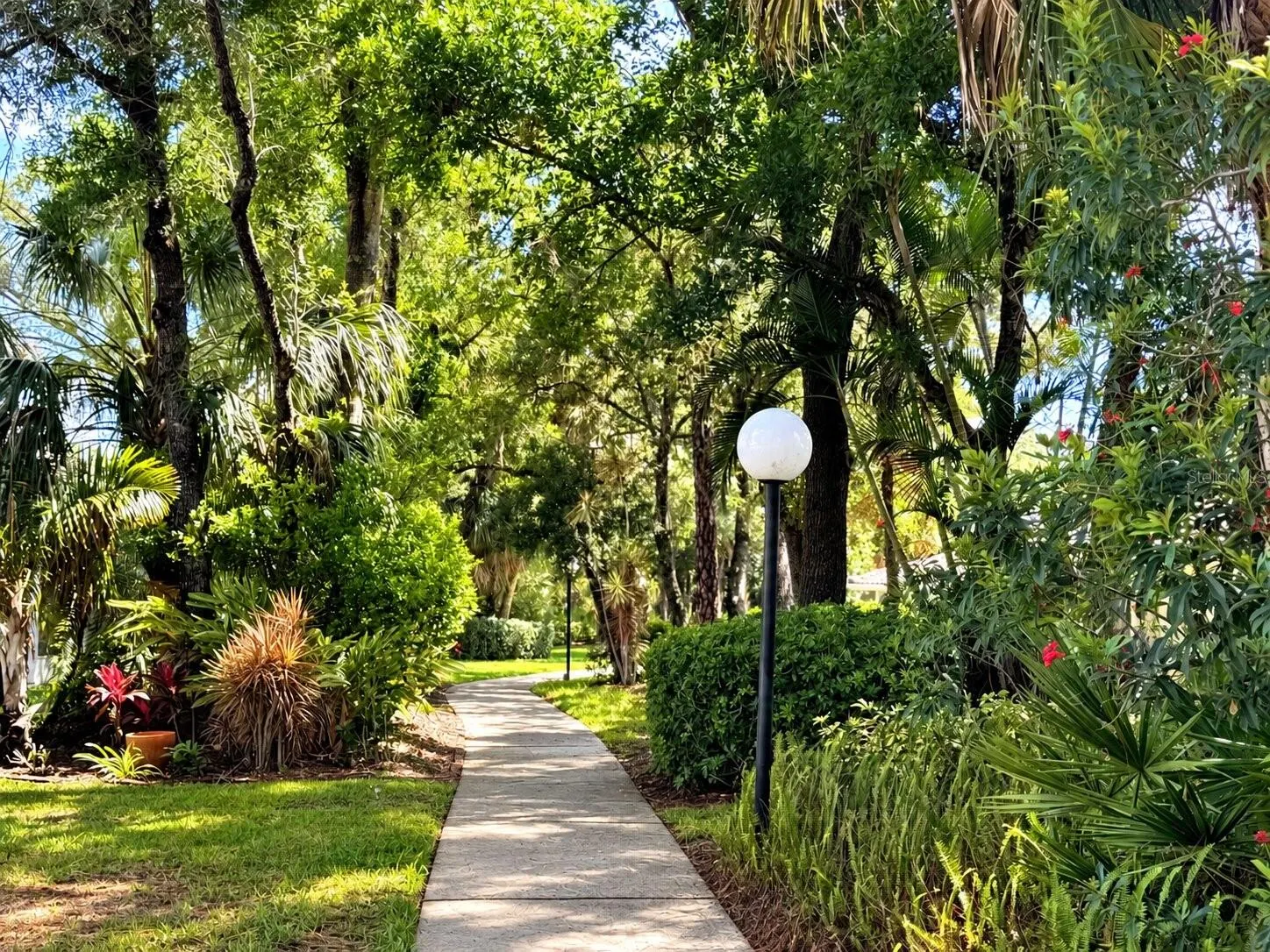 5808 GARDEN LAKES FERN