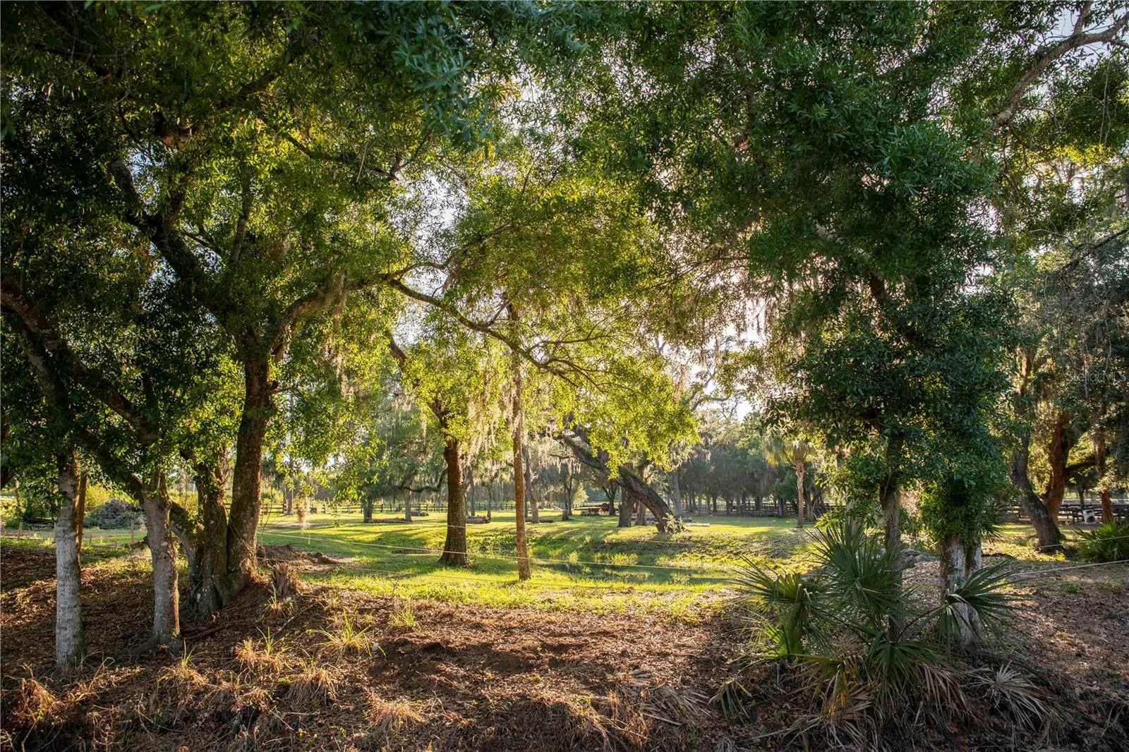 7710 COW CAMP LN