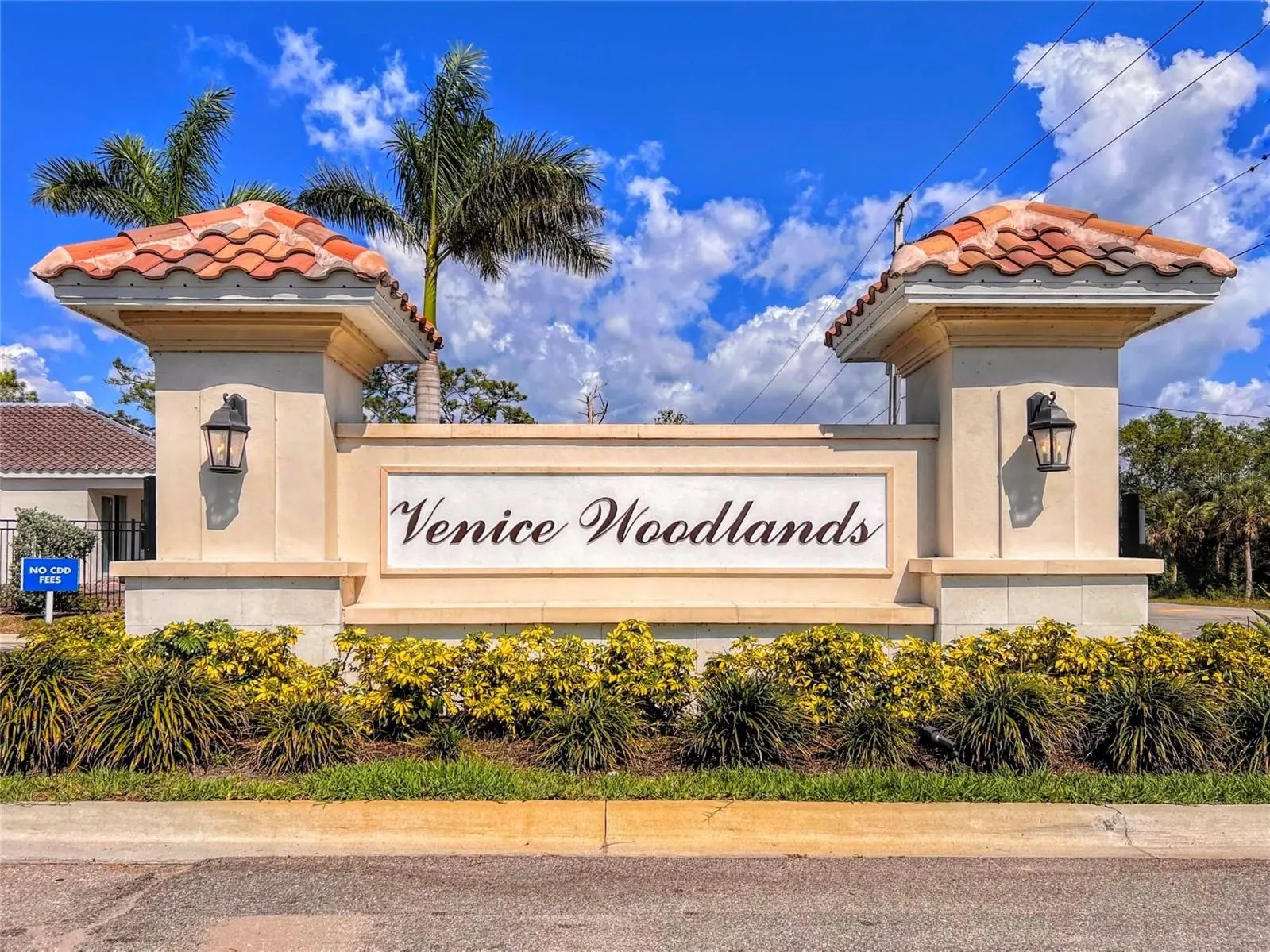 309 DAYLILY BLVD