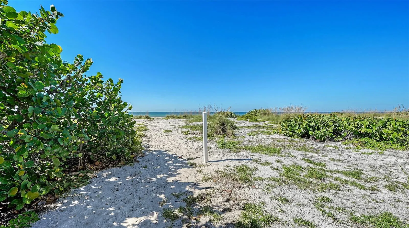 6061 GULF OF MEXICO DR