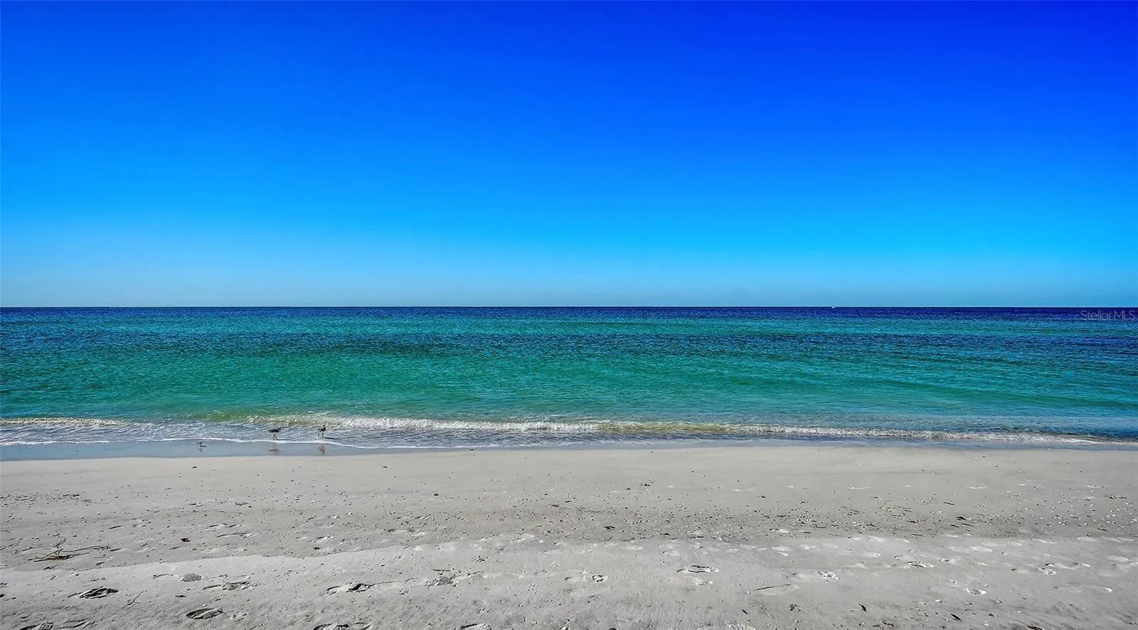 6061 GULF OF MEXICO DR