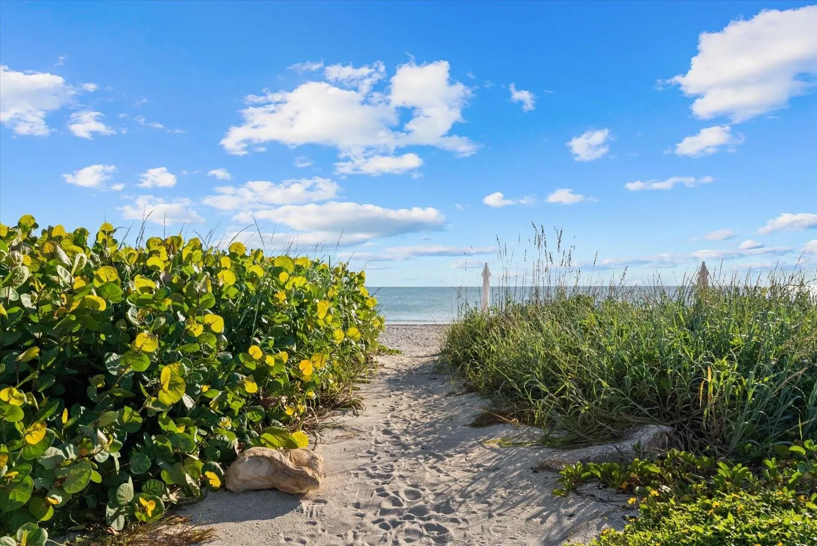 2165 GULF OF MEXICO DR #121 #121