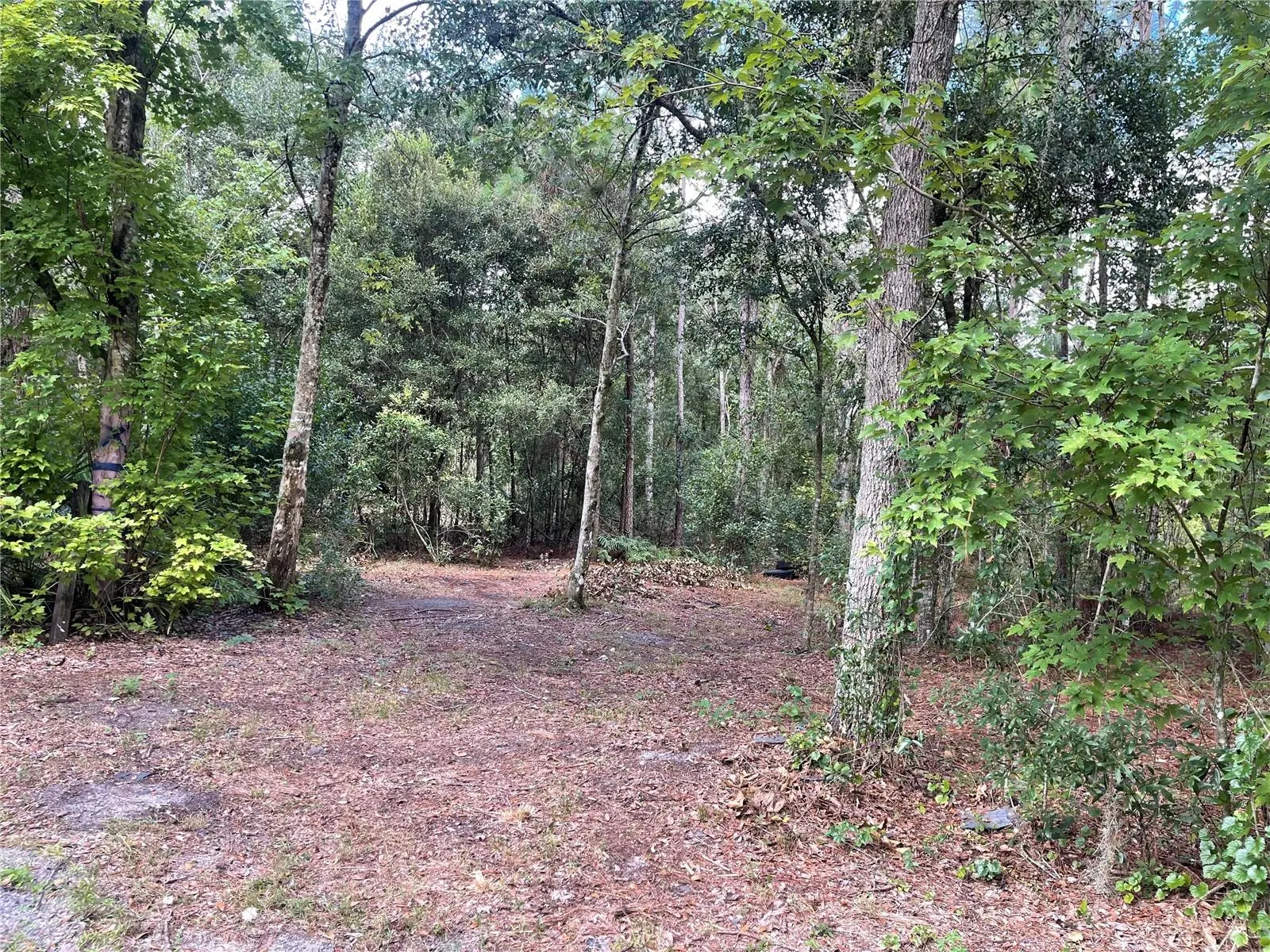 2805 FORESTLAND DR