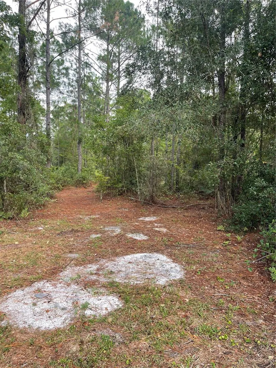 2805 FORESTLAND DR