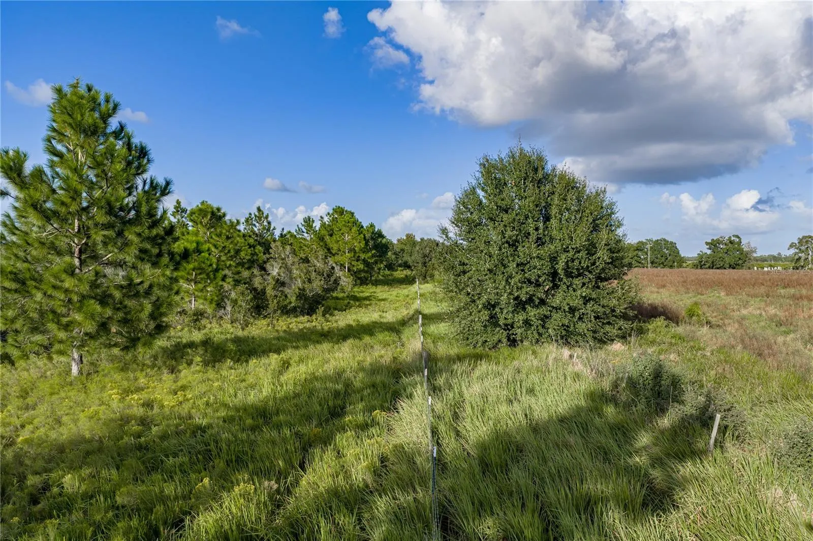 837 CAMPBELL RD