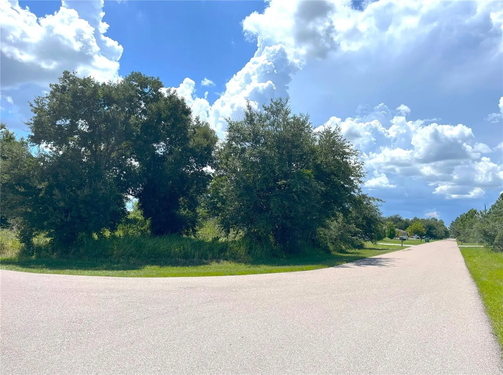 1394 SAXONY CIR