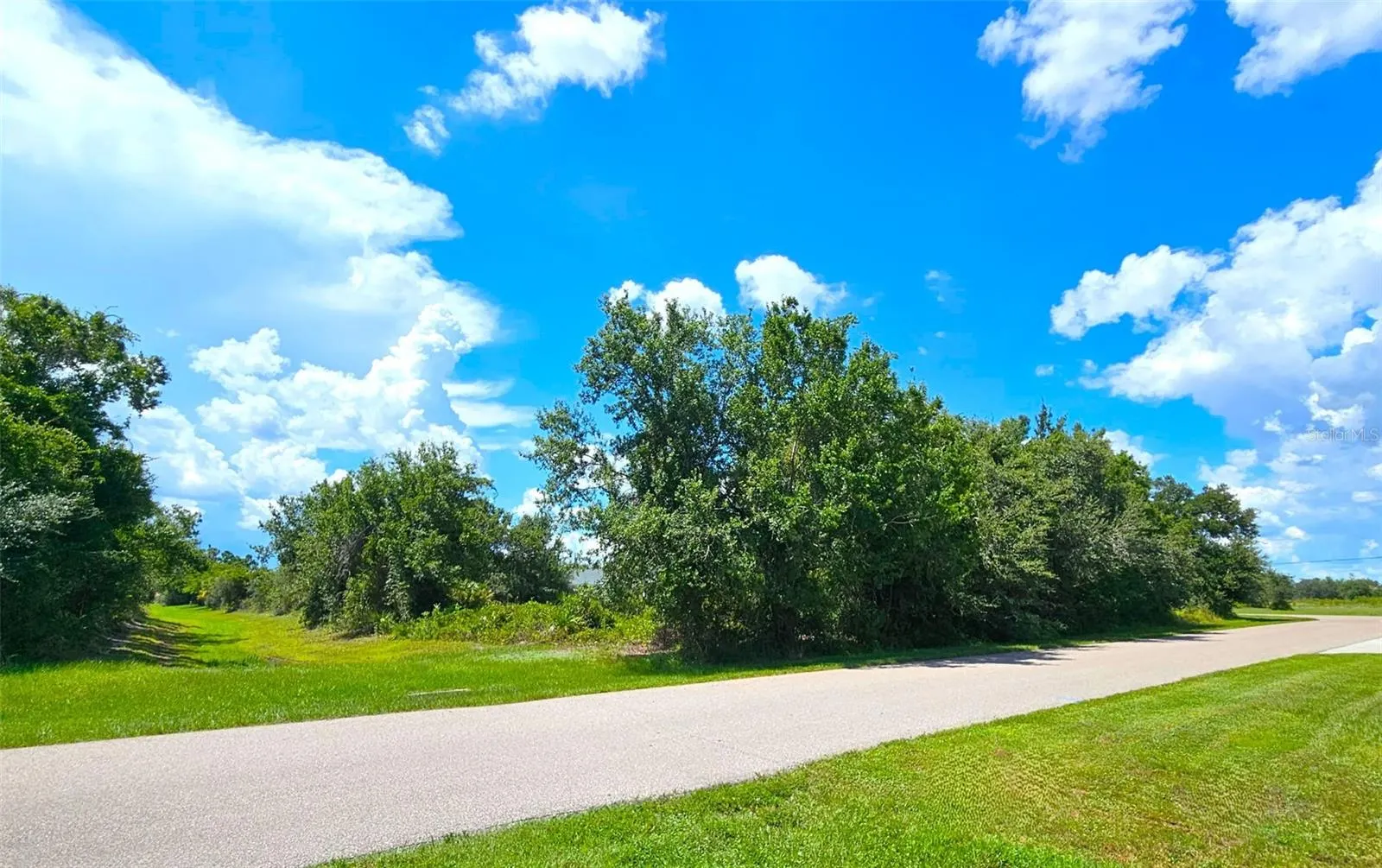 1394 SAXONY CIR
