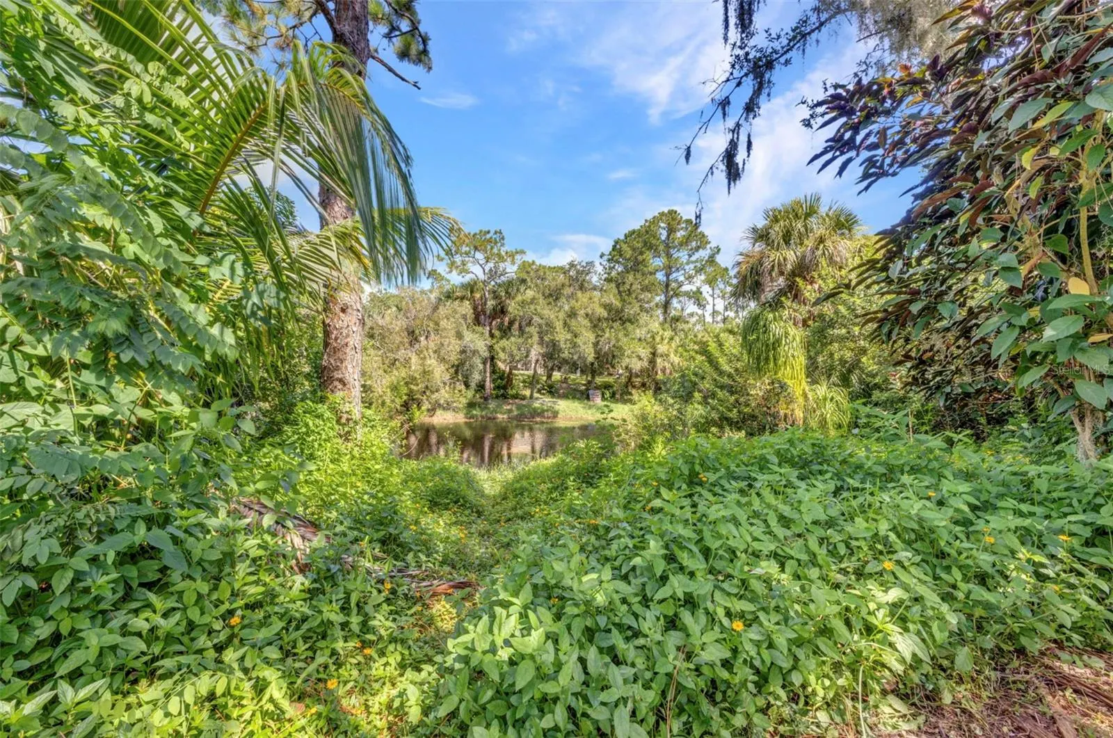 3537 ALFRED RD