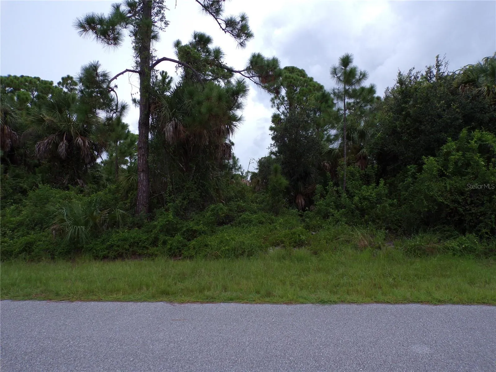 424 MCDILL DR