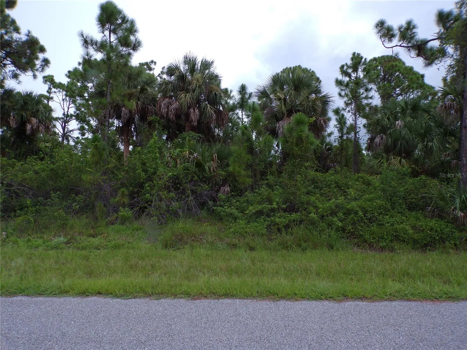 424 MCDILL DR