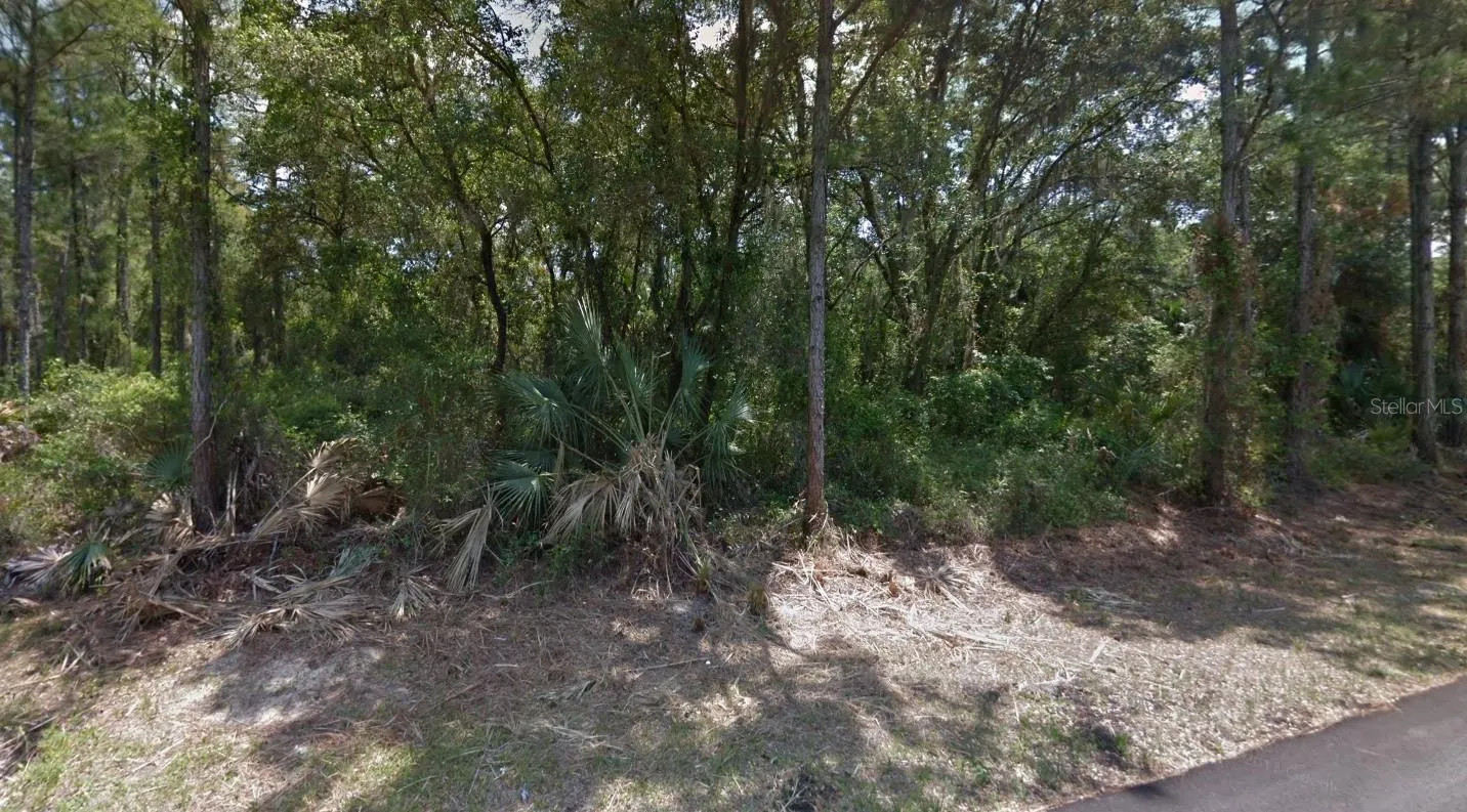 LOT 35 DORIE ST
