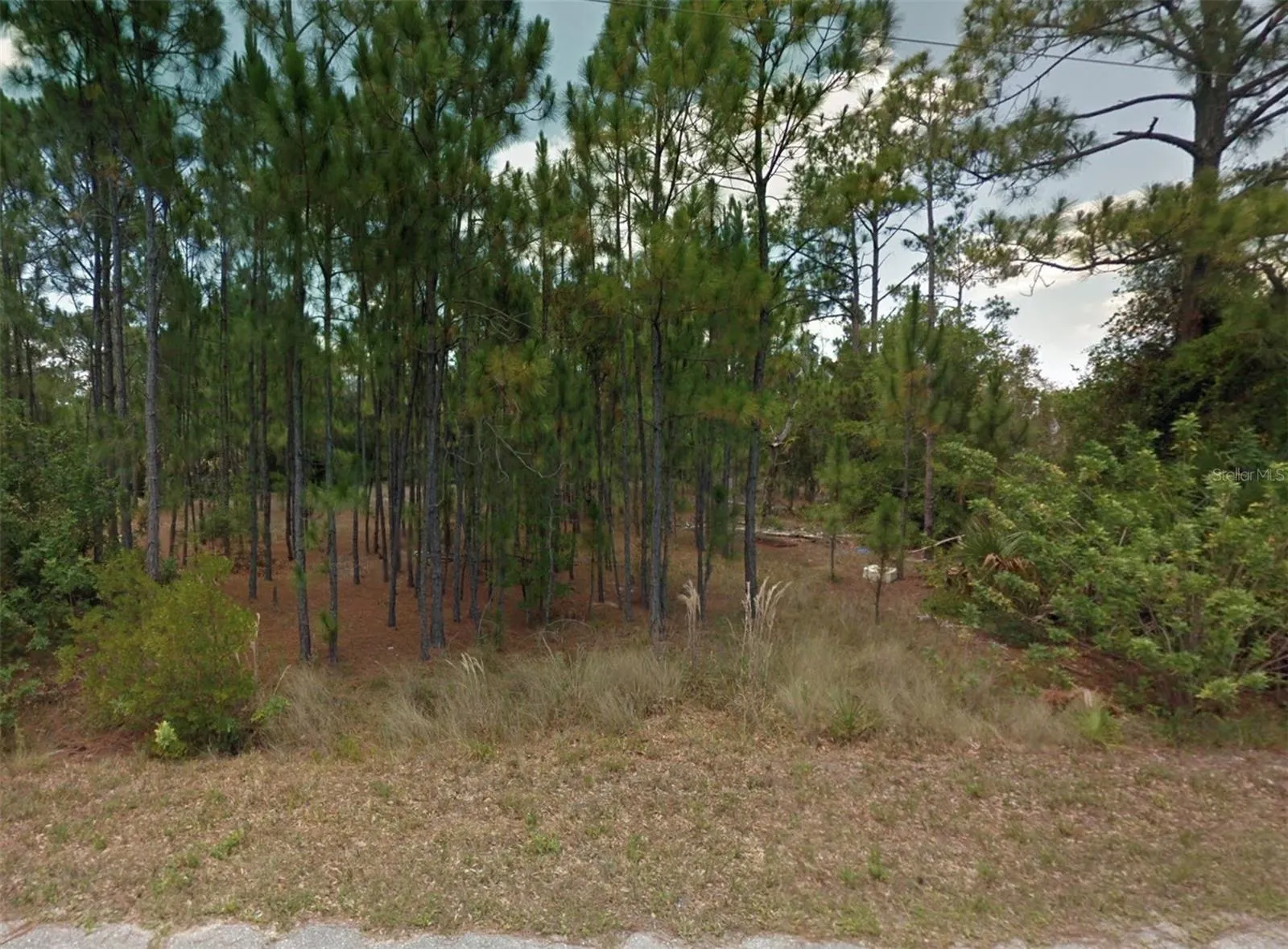 12167 MARAVILLA DR