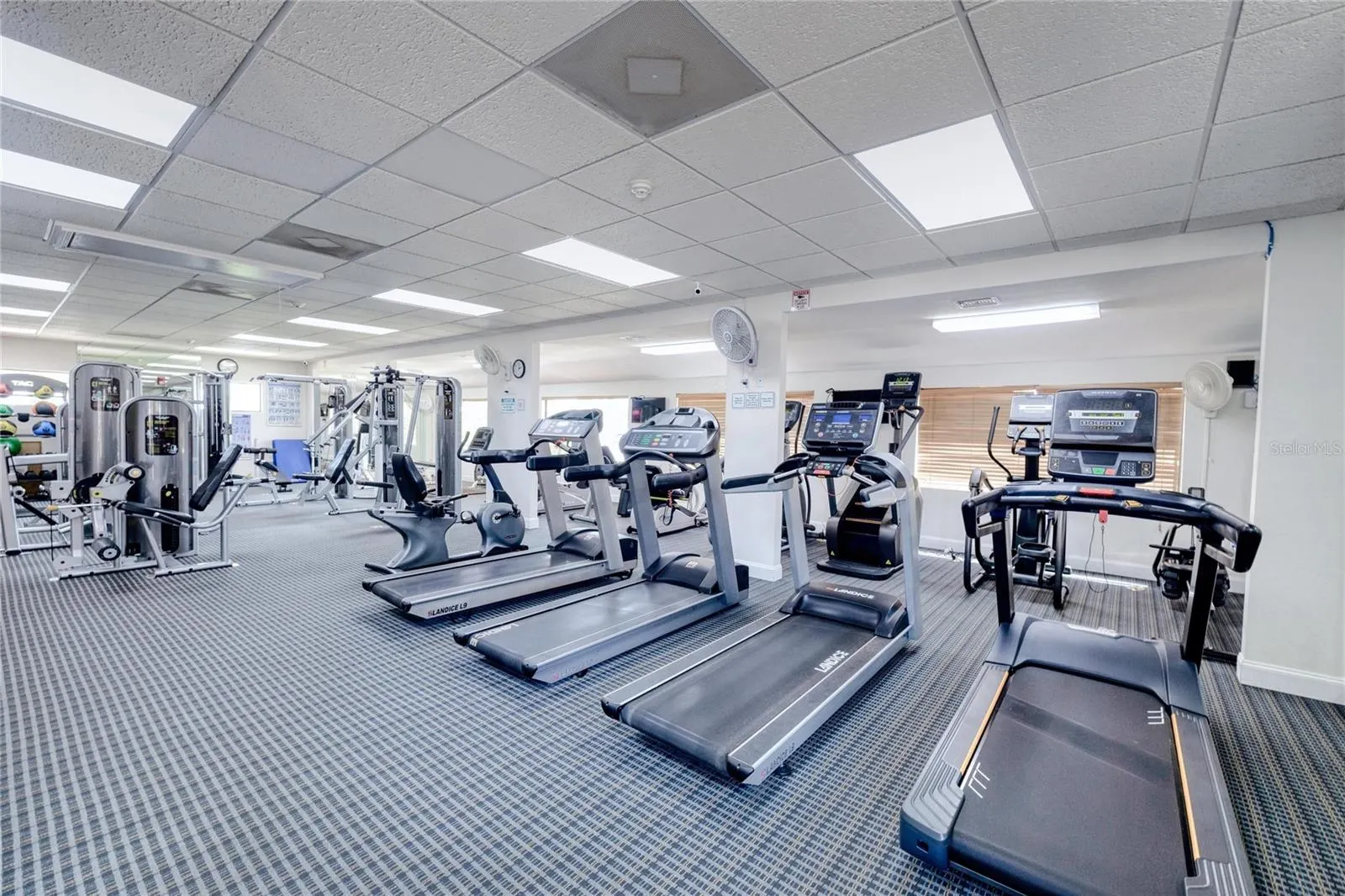 2100 KINGS HWY #63, #63