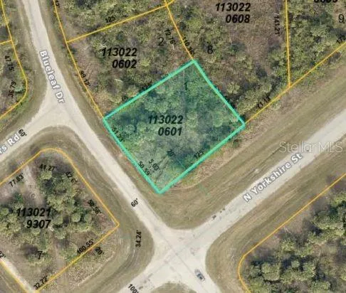 Lot 2 BLUELEAF DR