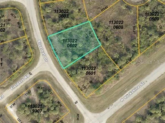 Lot 2 BLUELEAF DR