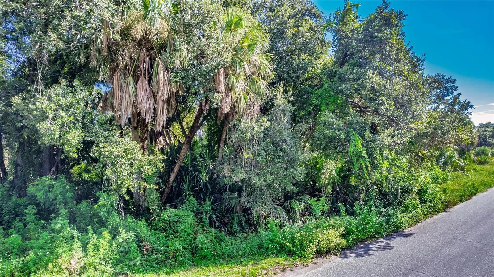 1104 BUENA VISTA CIR