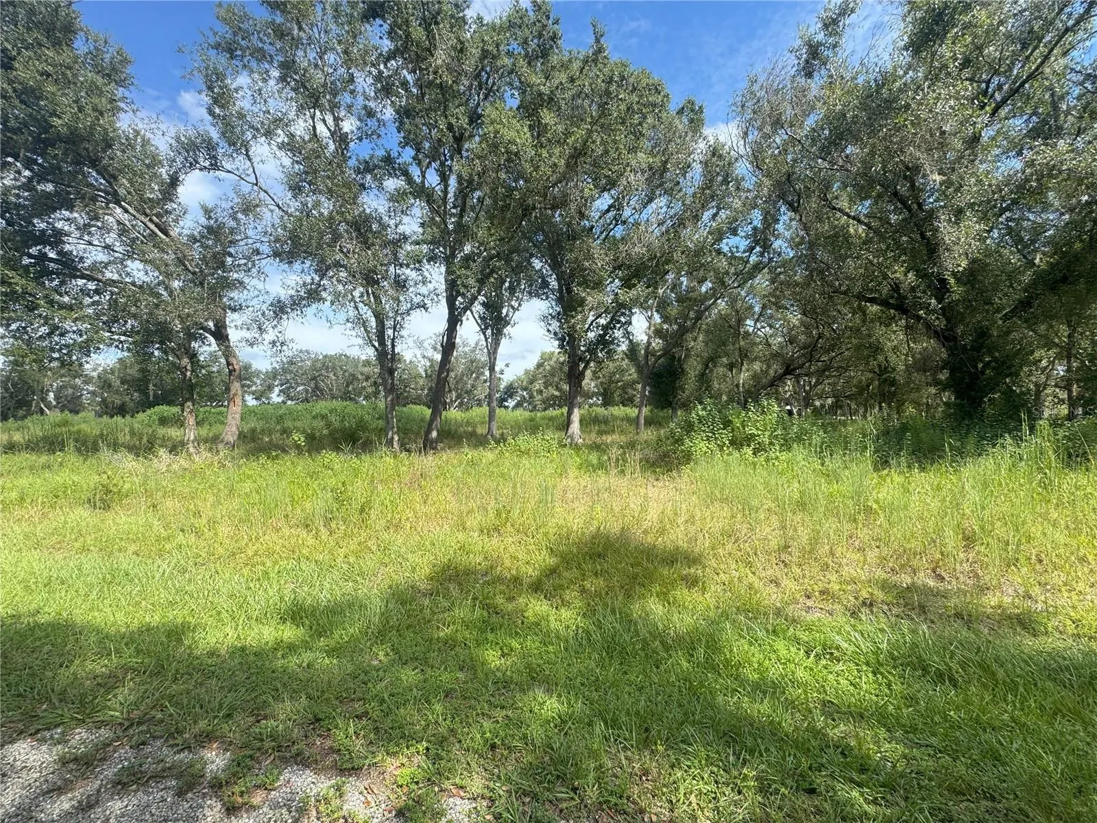 7114 NW LILY COUNTY LINE RD