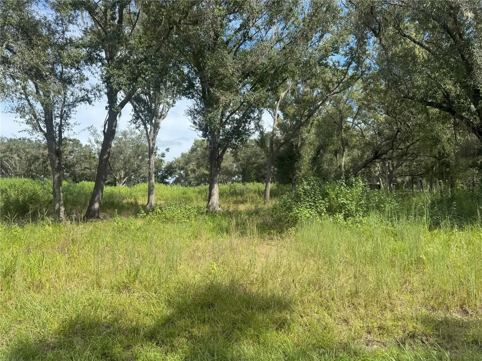 7114 NW LILY COUNTY LINE RD