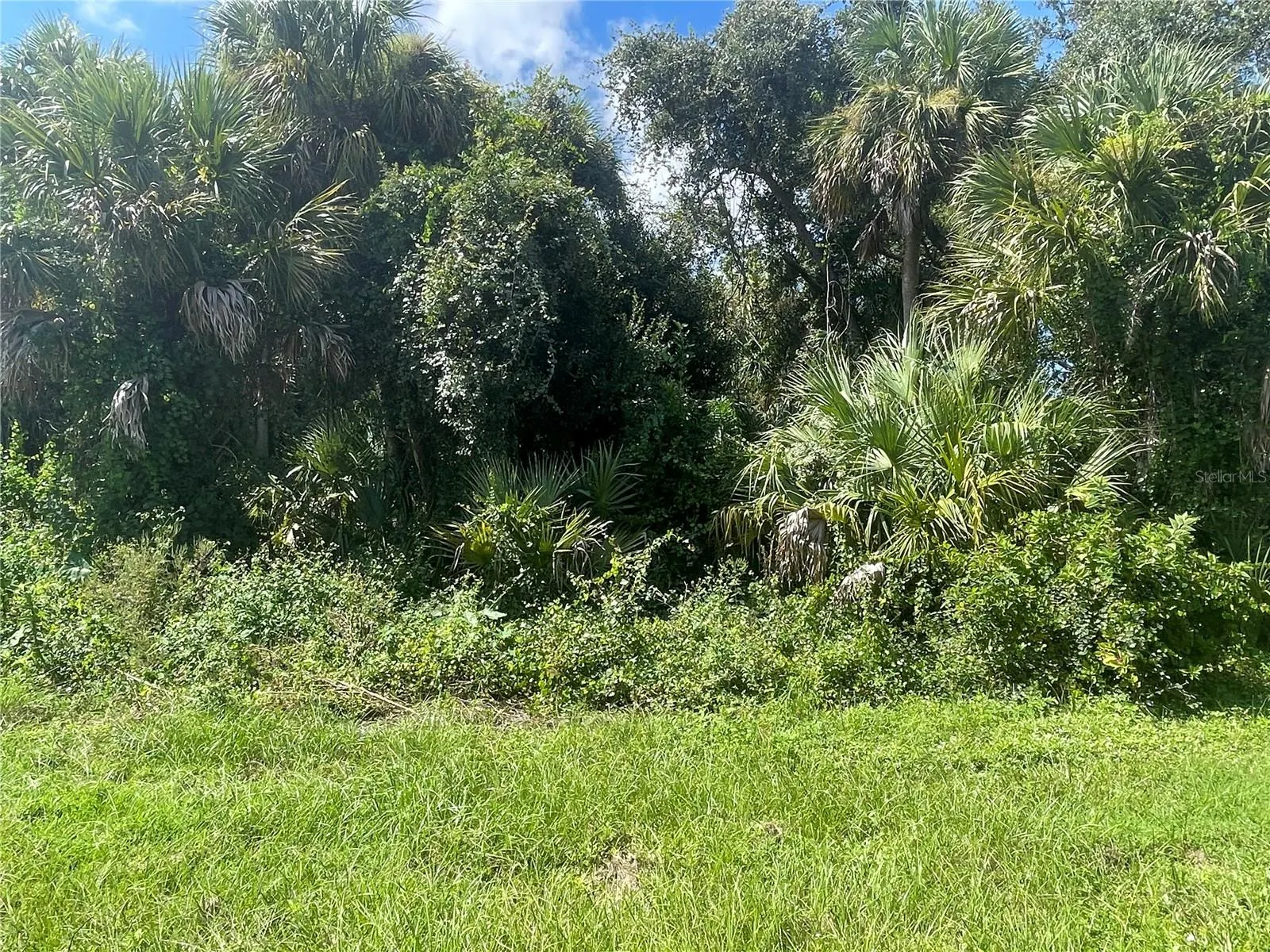 SNYDER   (LOT 6 BLOCK 1019)