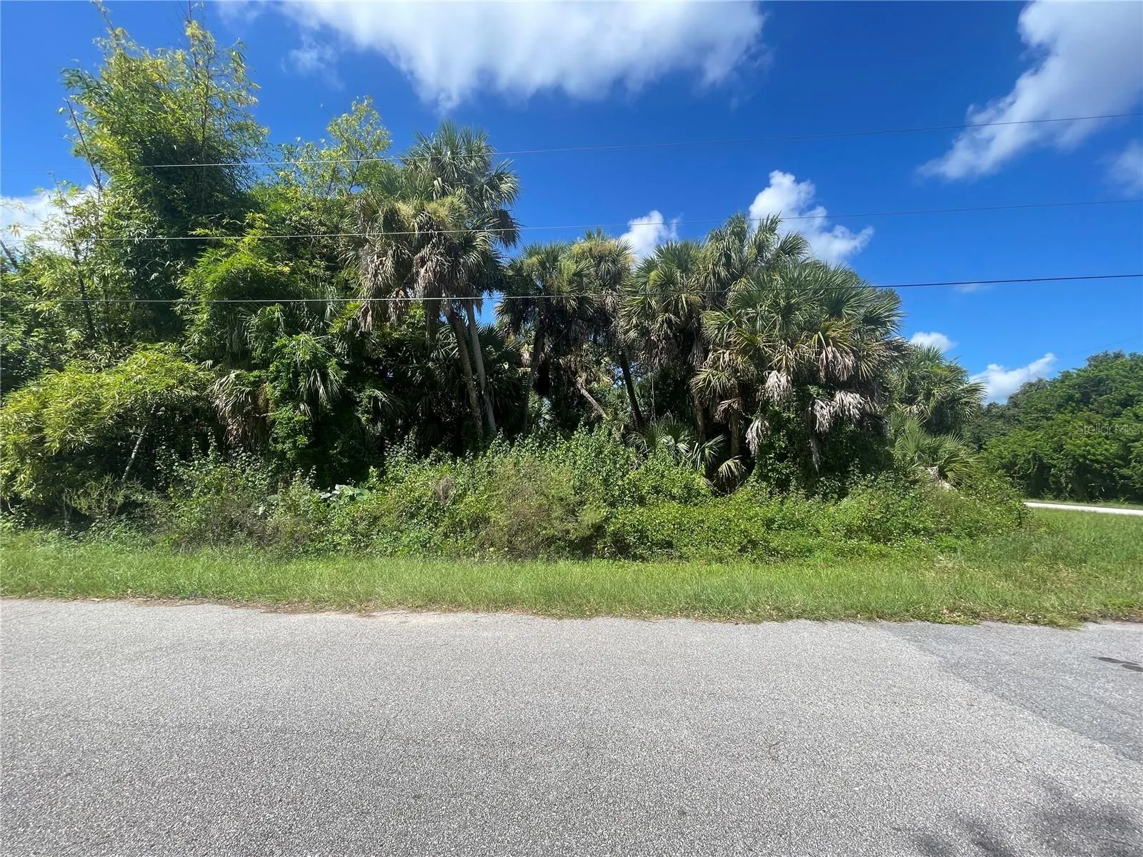 SNYDER   (LOT 6 BLOCK 1019)