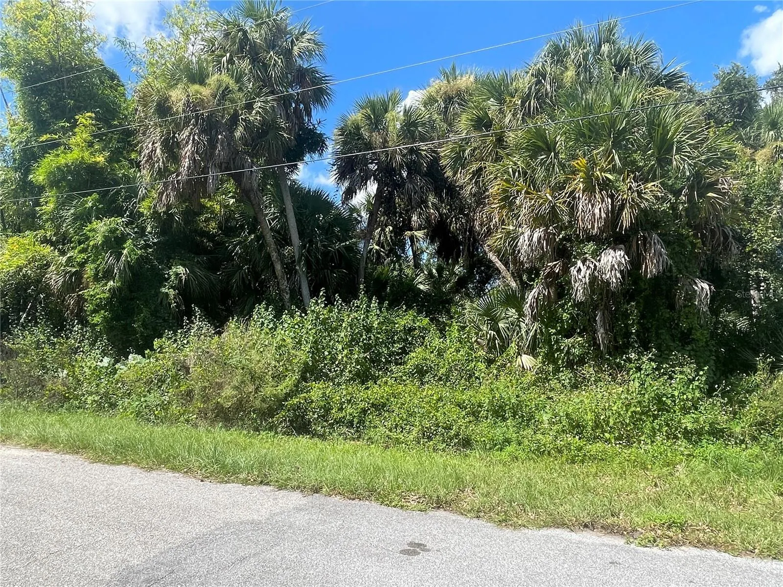 SNYDER   (LOT 6 BLOCK 1019)