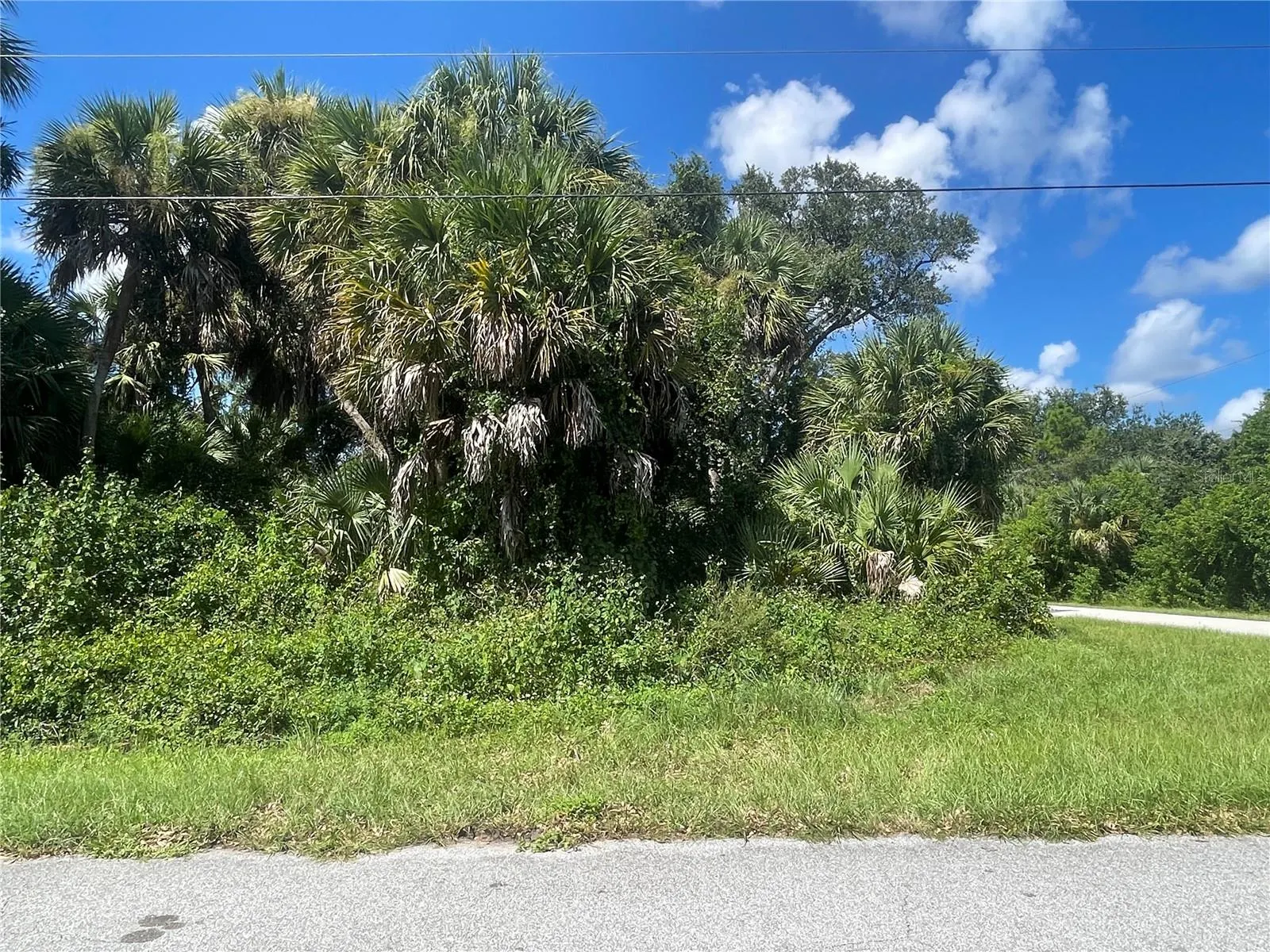 SNYDER   (LOT 6 BLOCK 1019)
