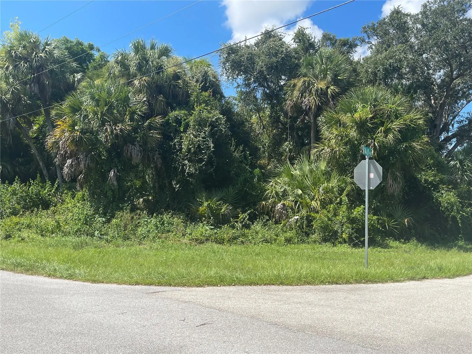 SNYDER   (LOT 6 BLOCK 1019)