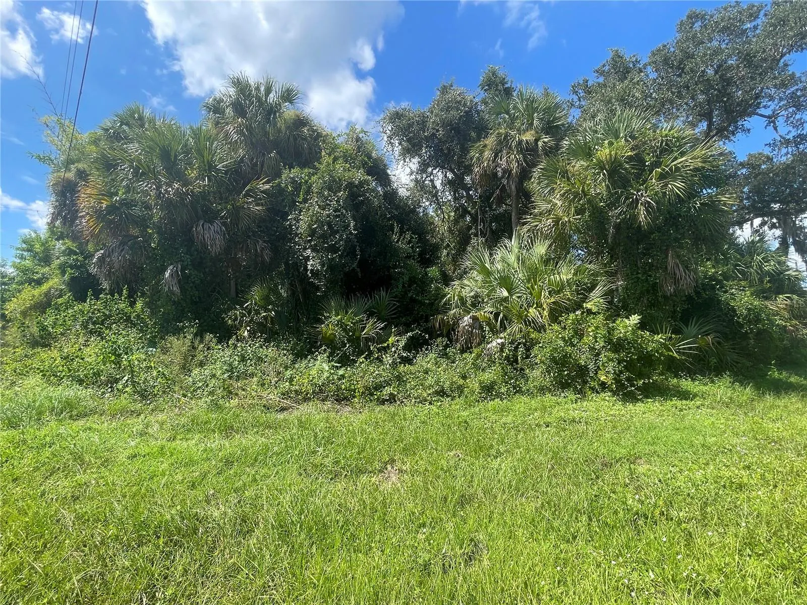 SNYDER   (LOT 6 BLOCK 1019)