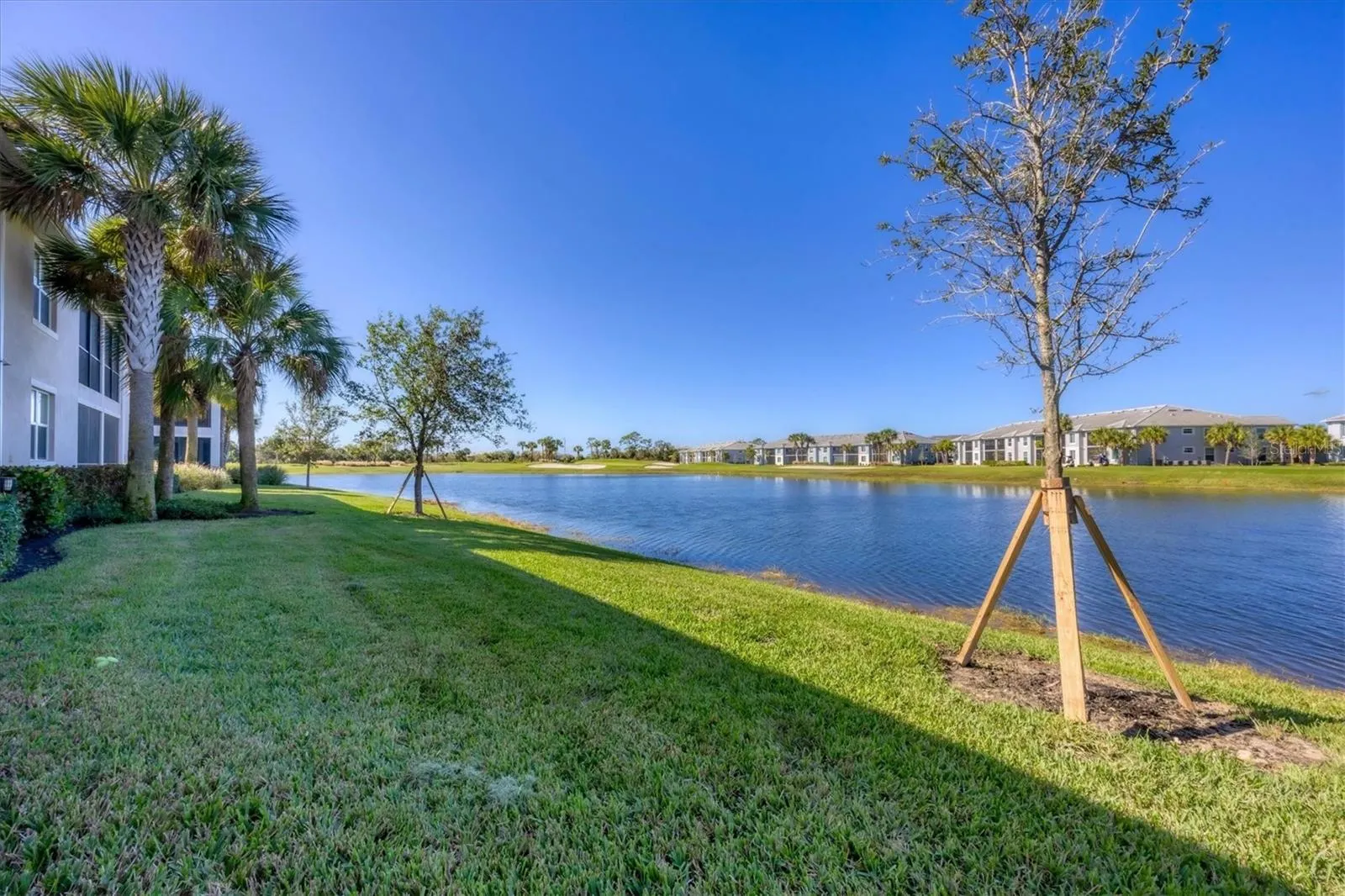 14025 BLACK BEAUTY DR #412, #412